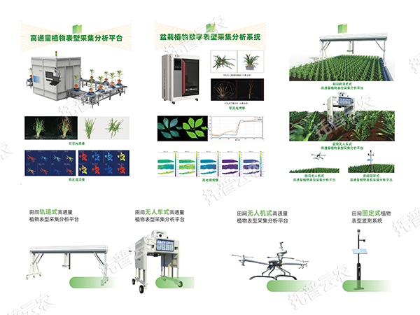 AI+農(nóng)業(yè)新突破！托普高通量植物表型智能分析平臺助力智慧農(nóng)業(yè)創(chuàng)新發(fā)展