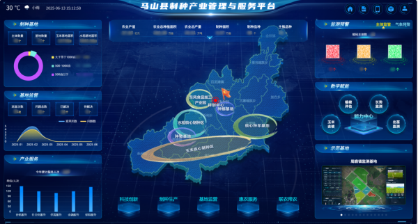 AI+農業(yè) | 當種子植入“數(shù)智芯片”，馬山縣打造制種基地新標桿